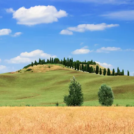 Girasole * San Gimignano