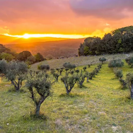 Appartement Girasole San Gimignano